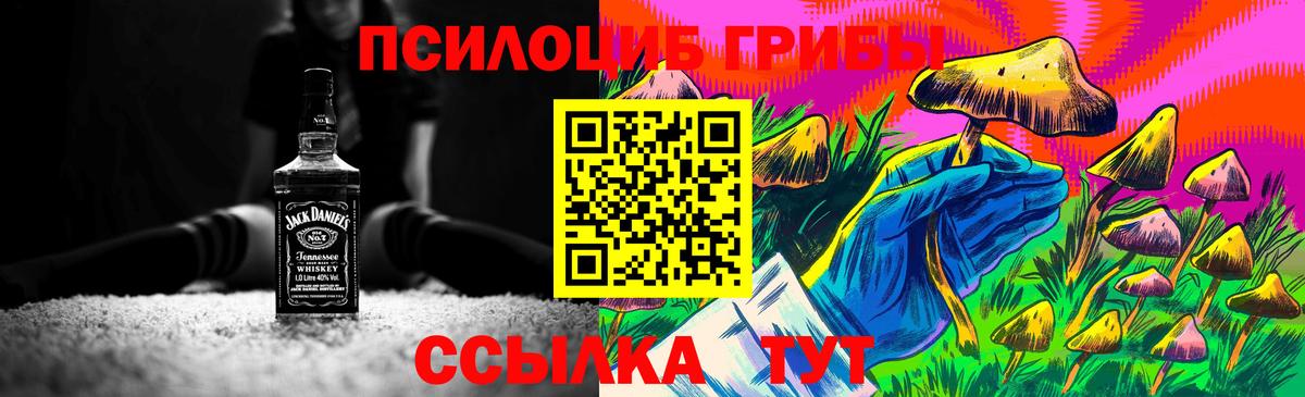 Чайковский  Псилоцибиновые грибы прущие грибы  Вход с VPN 